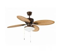 ventilador techo Lombok