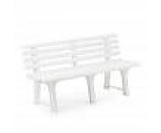 Progarden Banco Orchidea Blanco 145x49x74cm Progarden