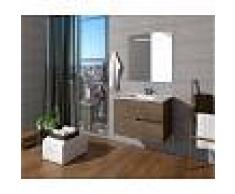 PLUSBAÑO Conjunto de baño Mueble 60x56x46 - Lavabo - Espejo 60 x 80 Roble Gris