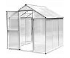 Outsunny Caseta Invernadero Jardín Transparente con Puerta y Ventana