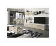 HD DECO Conjunto Salón Moderno, Mueble salon + Estante con Mesa de Centro