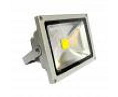 LEDBOX Proyector Led de exterior MICROLED, 50W, Blanco frío - LEDBOX