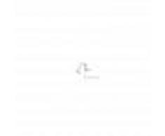 FARO Accesorio revistero Barcelona 28366 para luminaria HOOK