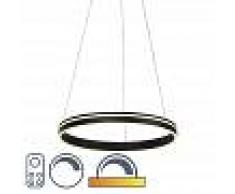 Paul Neuhaus Lámpara colgante moderna antracita 2700-5000K LED - RONITH