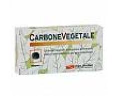 POOL PHARMA Srl Suplemento piscina Pharma Alimentos de carbon 40 Tablets