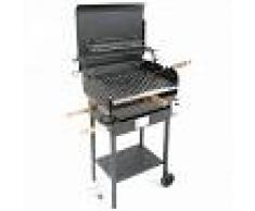 Cruccolini Barbacoa de gas con chapa pesada Cruccolini Everyday, parrilla inox 50x38